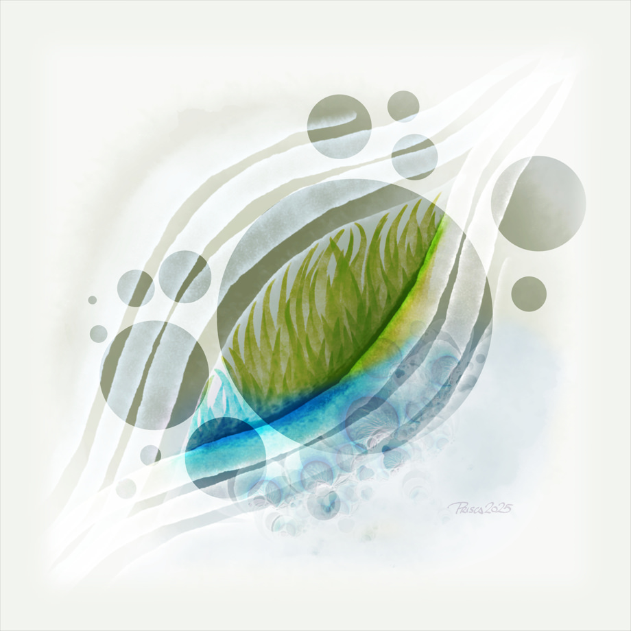 core