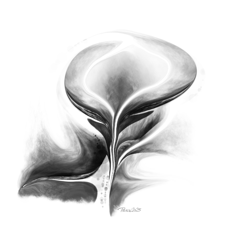heat orchid